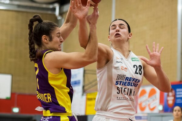 403735682 2537518579746525 7965333053930205322 N 403735682 2537518579746525 7965333053930205322 N