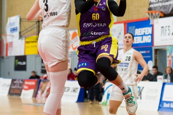 403749061 2537518403079876 6316903959854643437 N 403749061 2537518403079876 6316903959854643437 N