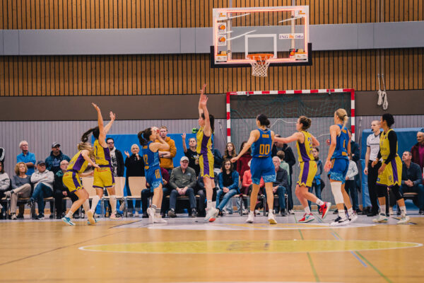 Veilchen Vs. Alba 142 Veilchen Vs. Alba 142