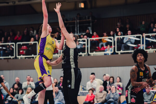 Veilchen Vs. Luchse 13 Veilchen Vs. Luchse 13