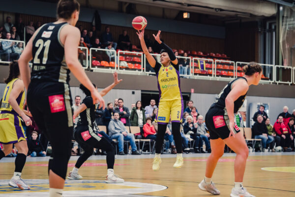 Veilchen Vs. Luchse 3 Veilchen Vs. Luchse 3