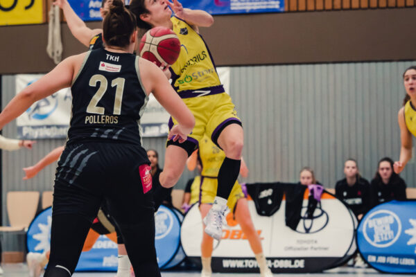 Veilchen Vs. Luchse 4 Veilchen Vs. Luchse 4