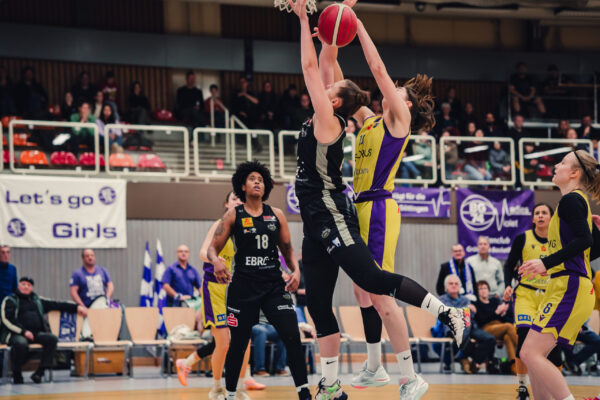 Veilchen Vs. Luchse 8 Veilchen Vs. Luchse 8