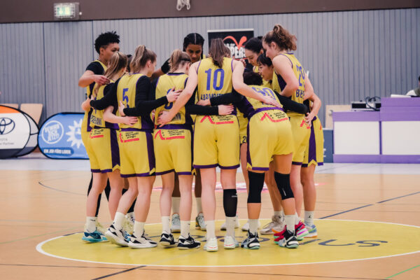 Veilchen Vs. Luchse Veilchen Vs. Luchse