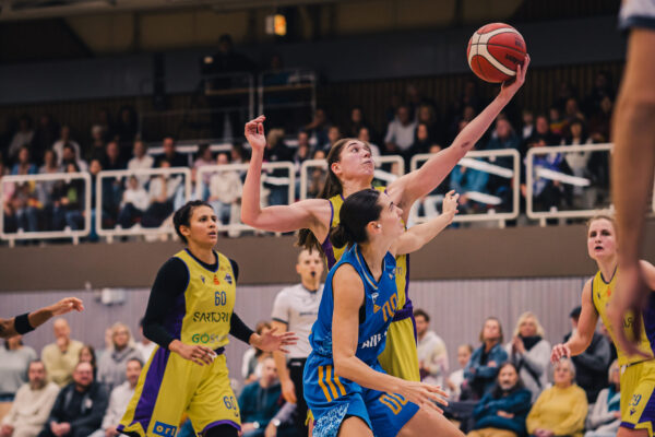 Veilchen Vs. Alba 105