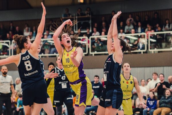 WhatsApp Bild 2024 03 03 Um 19.19.02 2d2c6bd2 WhatsApp Bild 2024 03 03 Um 19.19.02 2d2c6bd2