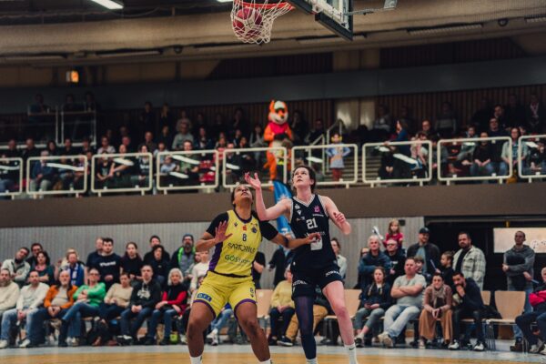 WhatsApp Bild 2024 03 03 Um 19.19.05 F9929db9 WhatsApp Bild 2024 03 03 Um 19.19.05 F9929db9